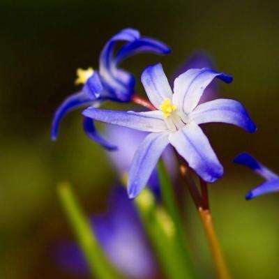 一肖三码手机app下载