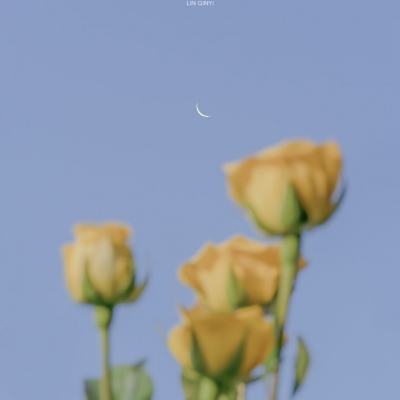 江南平台app下载安装下载手机版