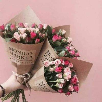 欢迎使用BOB半岛