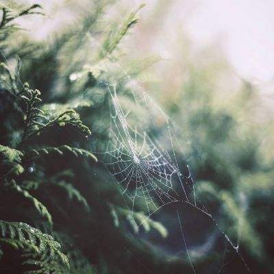 必博下载app截图