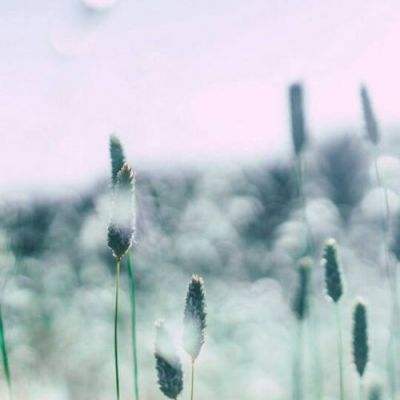 万博manbetx登录截图