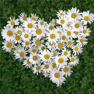 万博(ManBetx)下载手机版